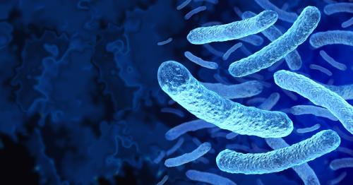 legionnaires' disease